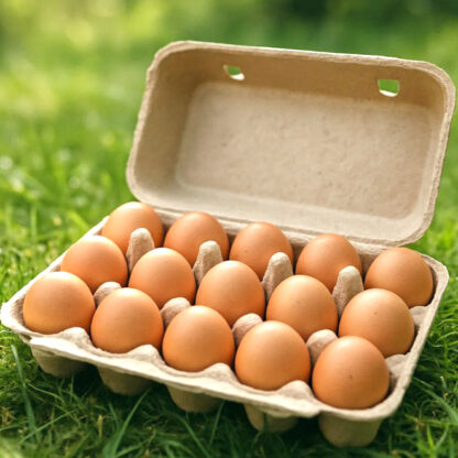 Suscripción mensual - 15 Huevos cada semana durante un mes